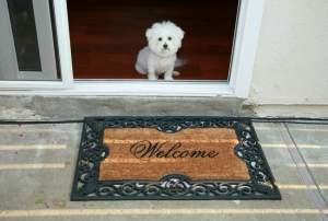 To make a good first impression on potential buyers, invest in a new welcome mat. This small investment can make a huge difference. SHUTTERSTOCK PHOTOS