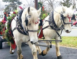 A horse drawn ride with Santa in Sugar Loaf Art & Craft Village Image Provided by Store