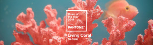 pantone-color-of-the-year-2019-living-coral-banner